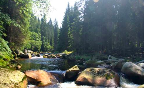 Řeka Vydra na naučné stezce Povydří